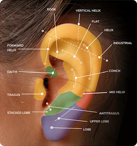 Ear piercing chart showing the types of ear piercings by location — lobe, helix, forward helix, tragus, daith, rook, conch, industrial, orbital, snug and anti-tragus