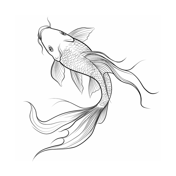 Koi fish flash 8 — Apollo Tattoo Studio