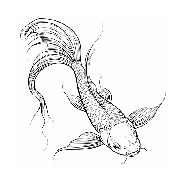 Koi fish flash 11 — Apollo Tattoo Studio