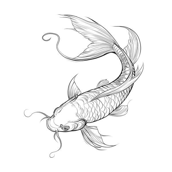 Koi fish flash 15 — Apollo Tattoo Studio