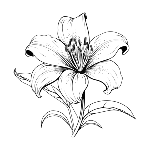 Lily flash 2 — Apollo Tattoo Studio
