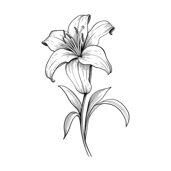Lily flash 4 — Apollo Tattoo Studio