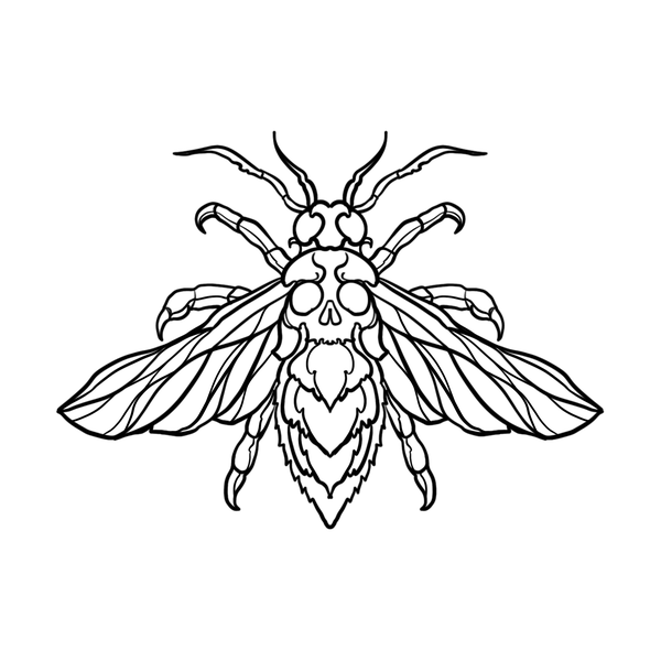 Moth flash 3 — Apollo Tattoo Studio