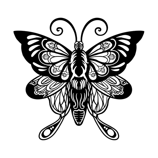Moth flash 6 — Apollo Tattoo Studio