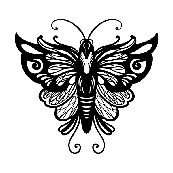 Moth flash 9 — Apollo Tattoo Studio