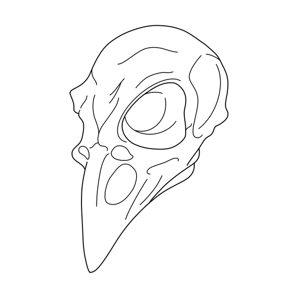 Skull flash 1 — Apollo Tattoo Studio