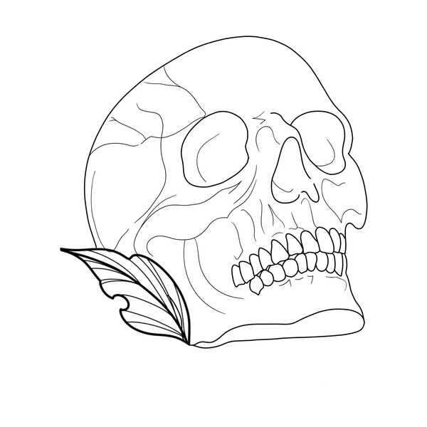 Skull flash 2 — Apollo Tattoo Studio