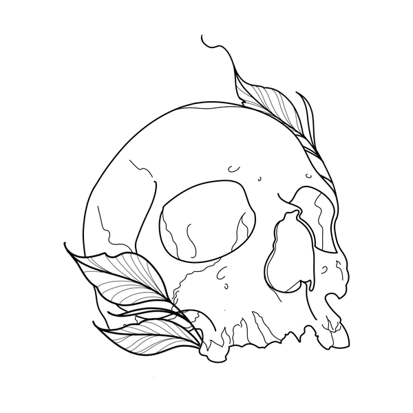 Skull flash 3 — Apollo Tattoo Studio