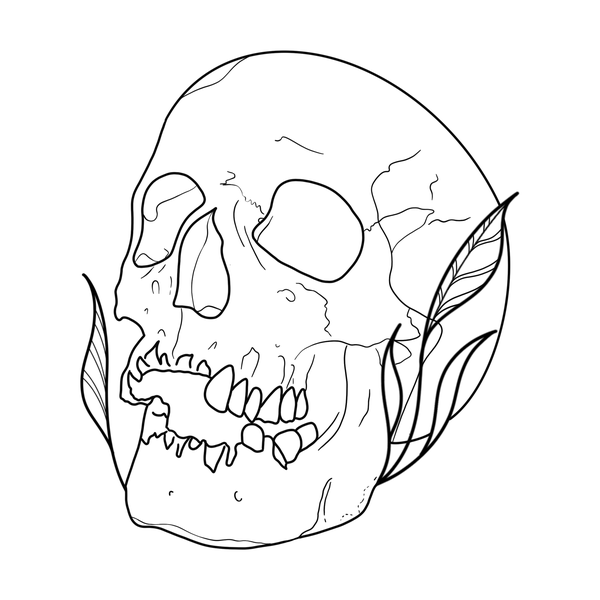 Skull flash 4 — Apollo Tattoo Studio