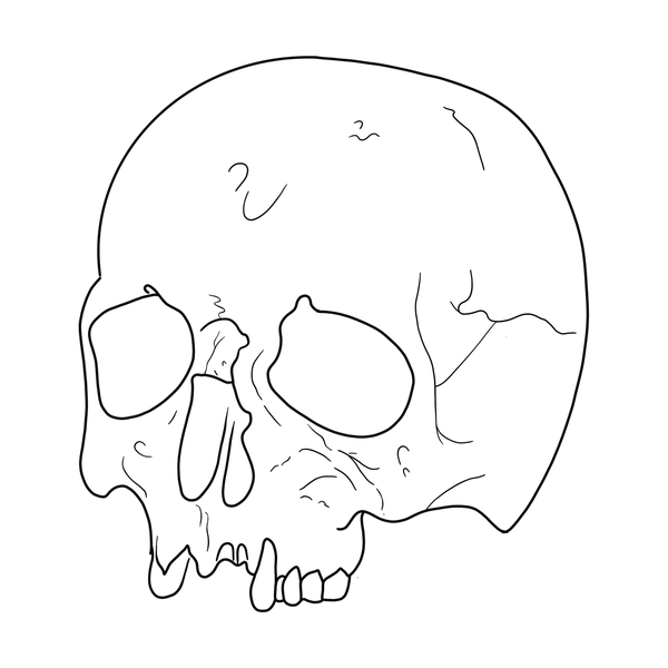 Skull flash 5 — Apollo Tattoo Studio