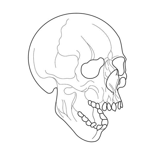 Skull flash 9 — Apollo Tattoo Studio