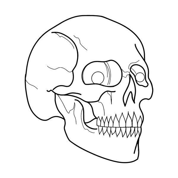 Skull flash 12 — Apollo Tattoo Studio