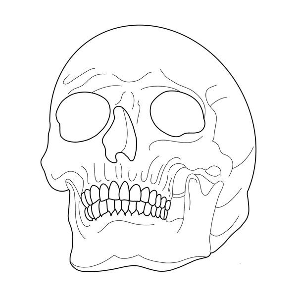 Skull flash 13 — Apollo Tattoo Studio