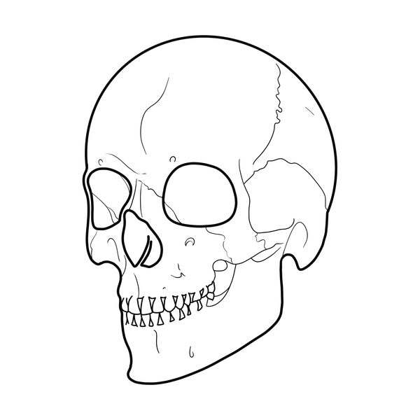 Skull flash 14 — Apollo Tattoo Studio