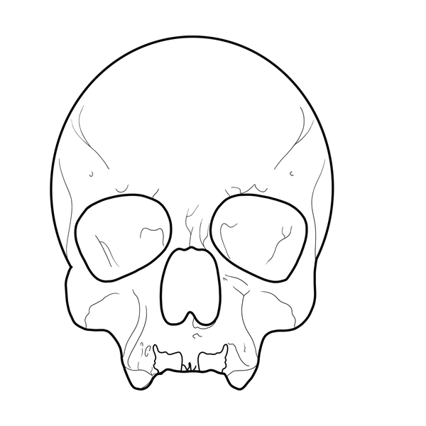 Skull flash 15 — Apollo Tattoo Studio