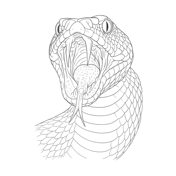 Snake flash 1 — Apollo Tattoo Studio
