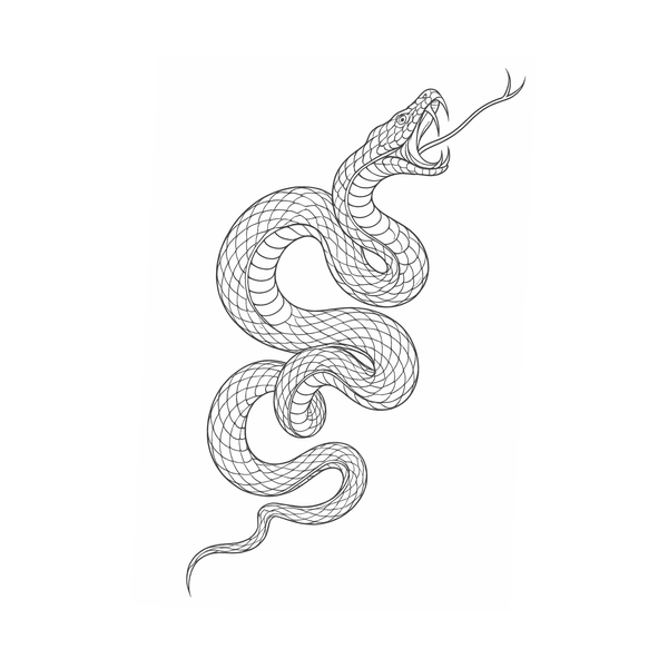 Snake flash 3 — Apollo Tattoo Studio