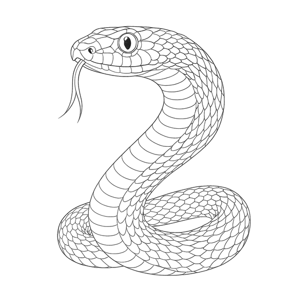 Snake flash 4 — Apollo Tattoo Studio