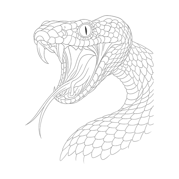 Snake flash 5 — Apollo Tattoo Studio