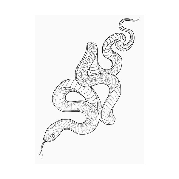 Snake flash 9 — Apollo Tattoo Studio
