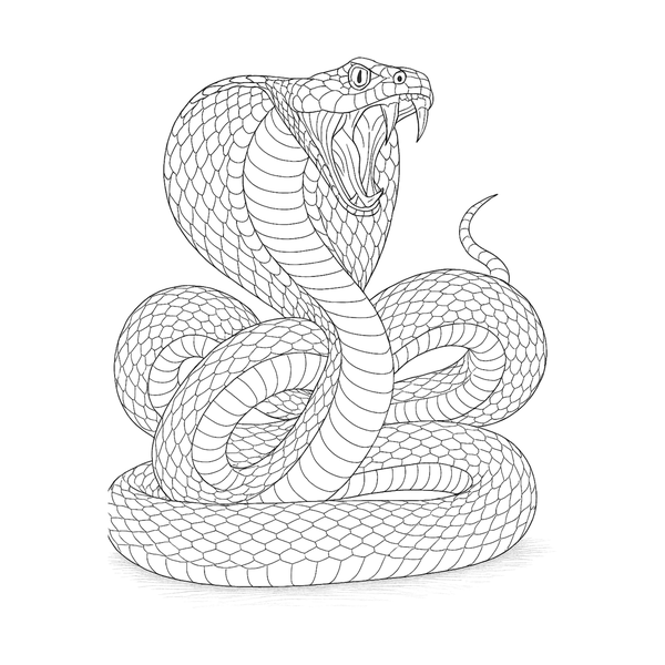 Snake flash 11 — Apollo Tattoo Studio