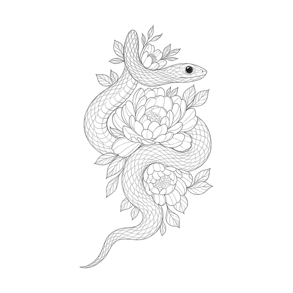 Snake flash 12 — Apollo Tattoo Studio