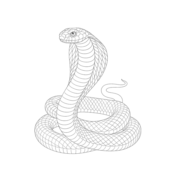 Snake flash 14 — Apollo Tattoo Studio