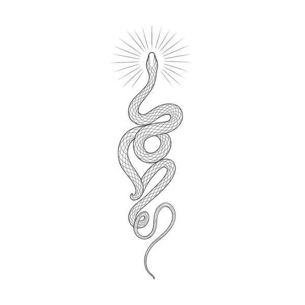 Snake flash 15 — Apollo Tattoo Studio