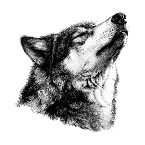 Wolf flash 2 — Apollo Tattoo Studio