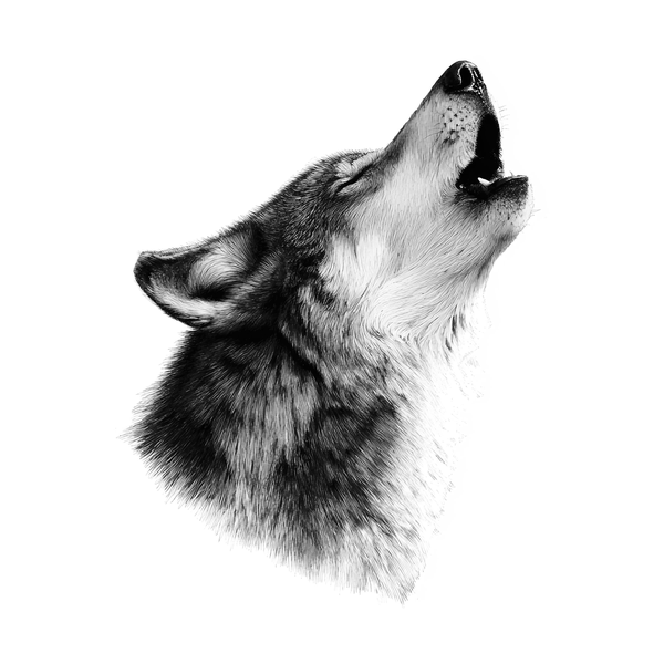 Wolf flash 9 — Apollo Tattoo Studio