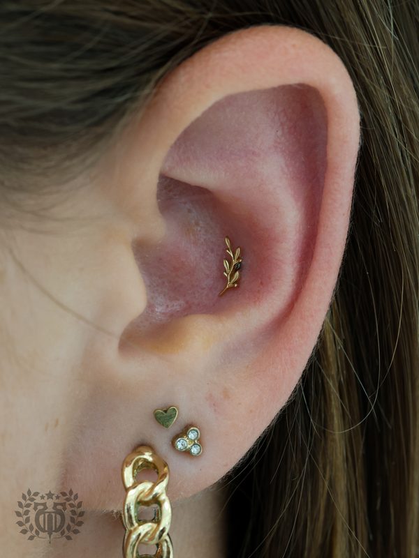 Ear piercing at Apollo — Apollo Tattoo & Piercing Studio 7