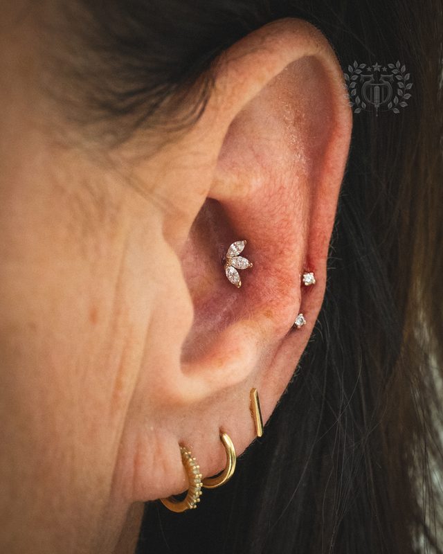 Conch Piercing at Apollo Tattoo & Piercing Studio — Apollo Tattoo & Piercing Studio 5