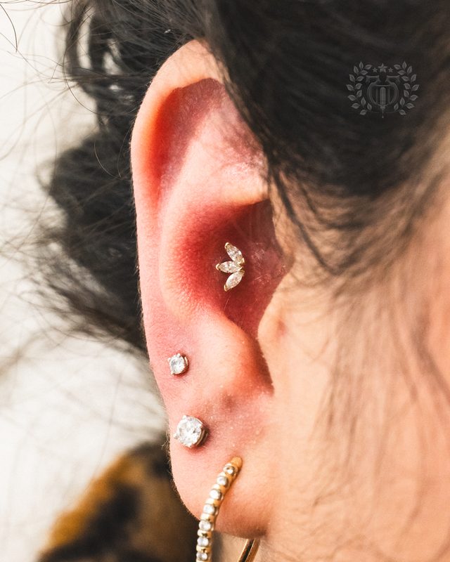 Conch Piercing at Apollo Tattoo & Piercing Studio — Apollo Tattoo & Piercing Studio 8
