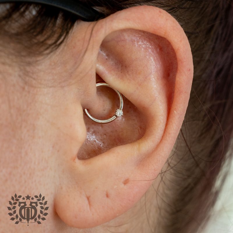 Daith Piercing at Apollo Tattoo & Piercing Studio — Apollo Tattoo & Piercing Studio 4