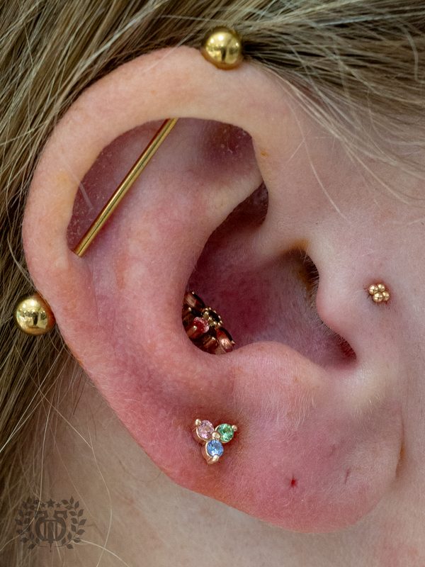 Industrial Piercing at Apollo Tattoo & Piercing Studio — Apollo Tattoo & Piercing Studio 3