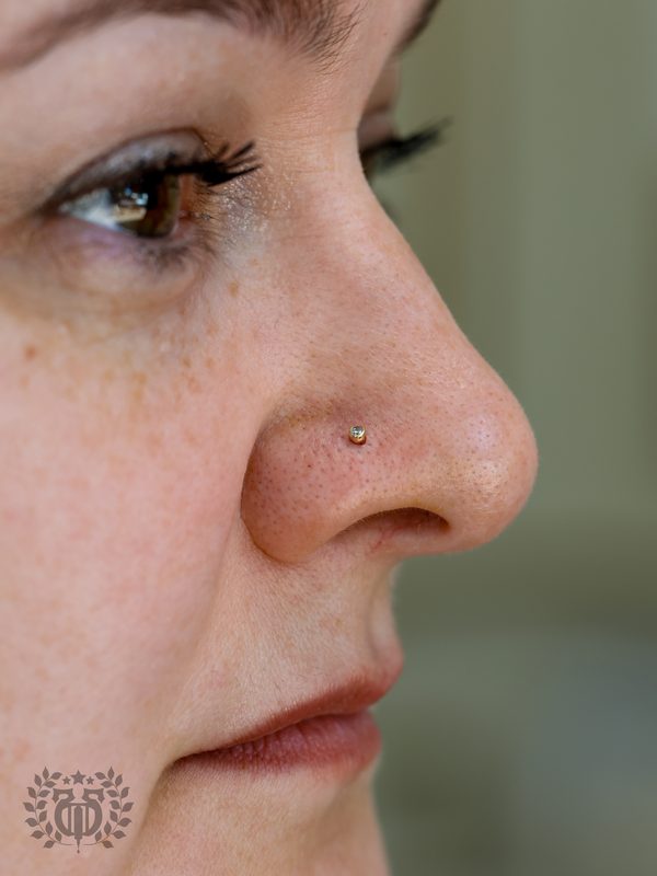 Nose Piercings In LA — Apollo Studio Los Angeles