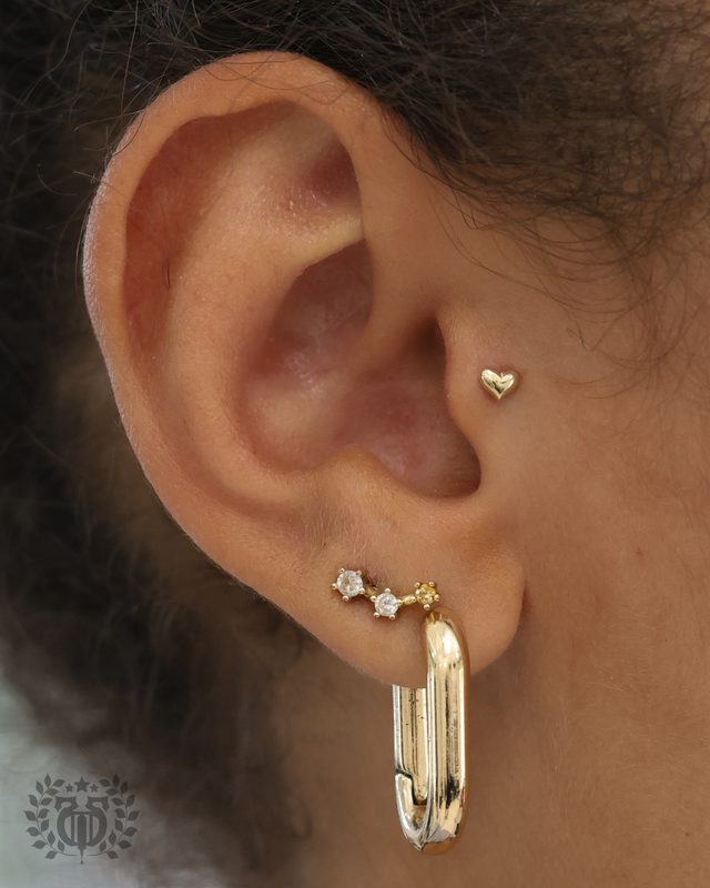 Tragus Piercing at Apollo Tattoo & Piercing Studio — Apollo Tattoo & Piercing Studio 5