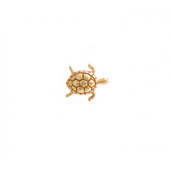 Swimming Turtle