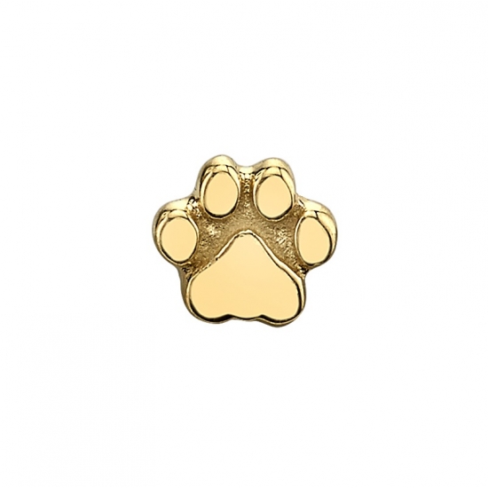 Flat Dog Paw