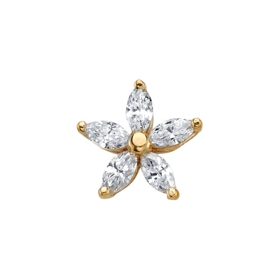 Starflower