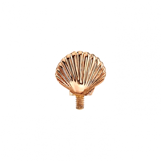 Double Sided Seashell