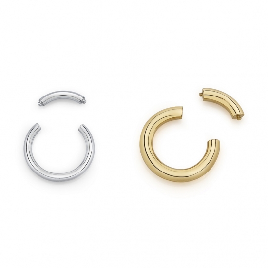 Segment Ring