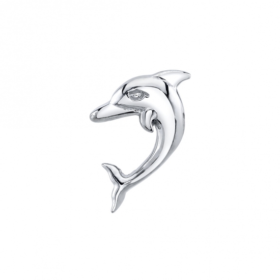 Dolphin
