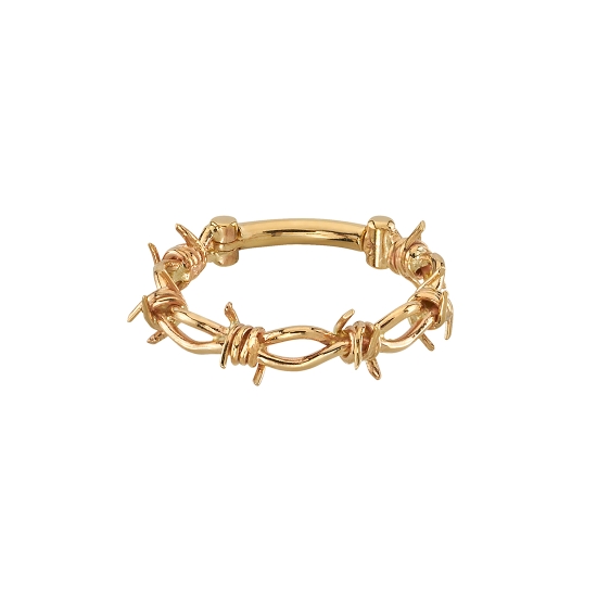 Daniella's Crown of Thorns