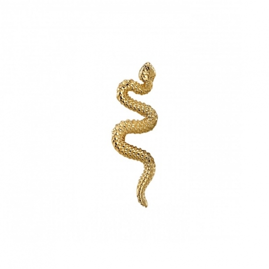 Delicate Snake