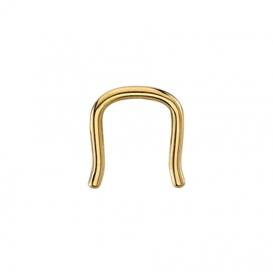 Septum at Apollo