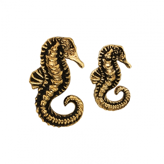 Seahorse