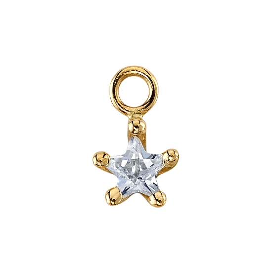 Star Point Prong Charm