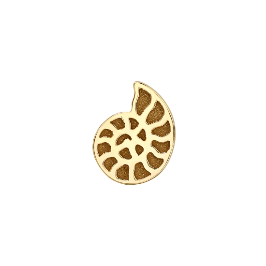 Nautilus
