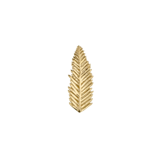 SEQUOIA BRANCH